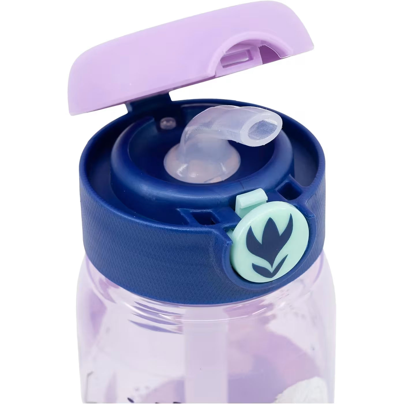 Borraccia con cannuccia trasparente Pop Up Frozen 510ml