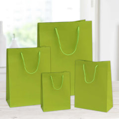 10x6.5x12 matte green plasticized paper shopping bag