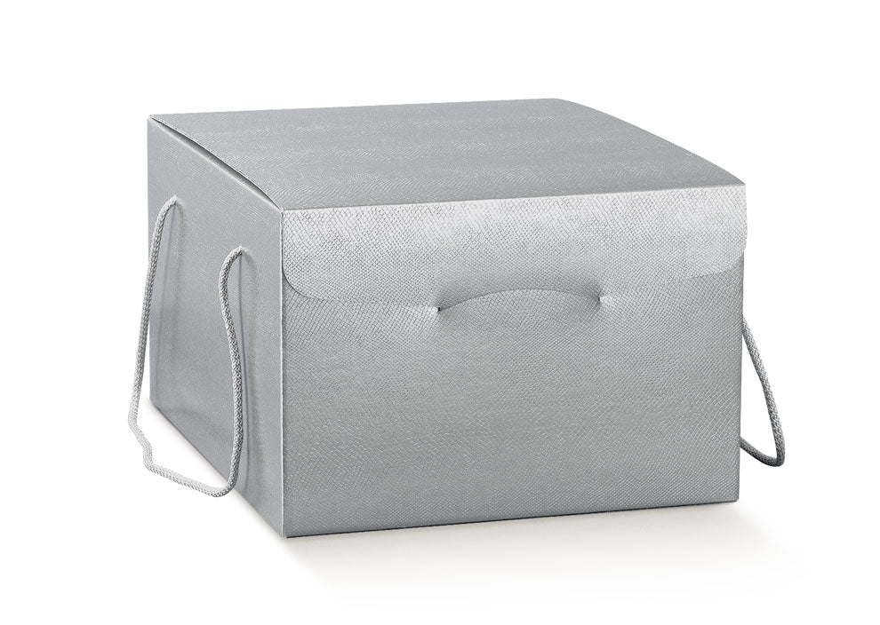 Scatola Segreto Skin argento 29x35,5x19,5 cm – Scotton, 1 pz