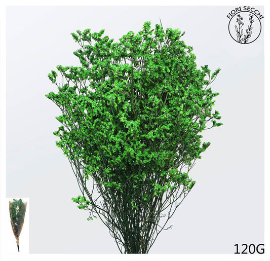 Mazzetto di stoebe verde 65-70cm 120gr