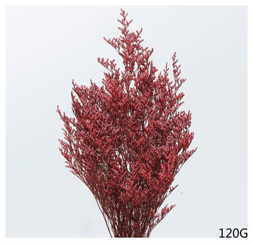 Red Caspia Bunch 70-75cm 120g