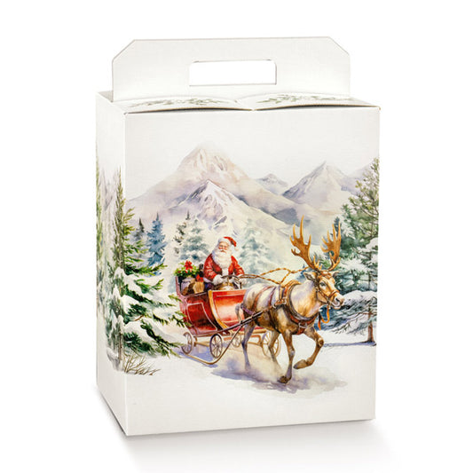 box panettone + bottiglia babbo natale