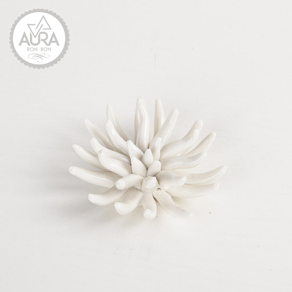 White coral 6x6x3.5cm