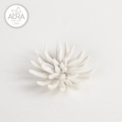 White coral 6x6x3.5cm