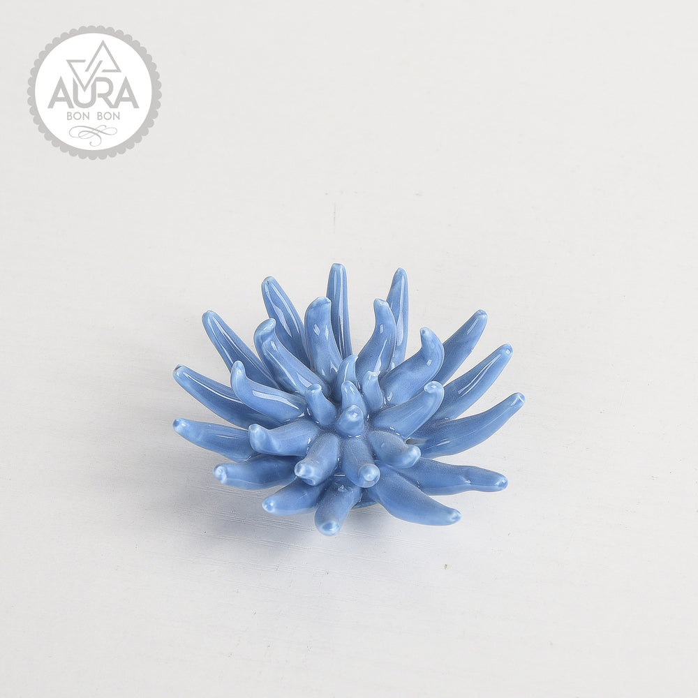 Corallo blu 6x6x3,5cm