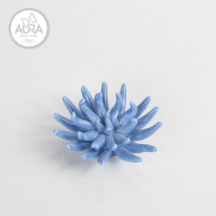 Corallo blu 6x6x3,5cm