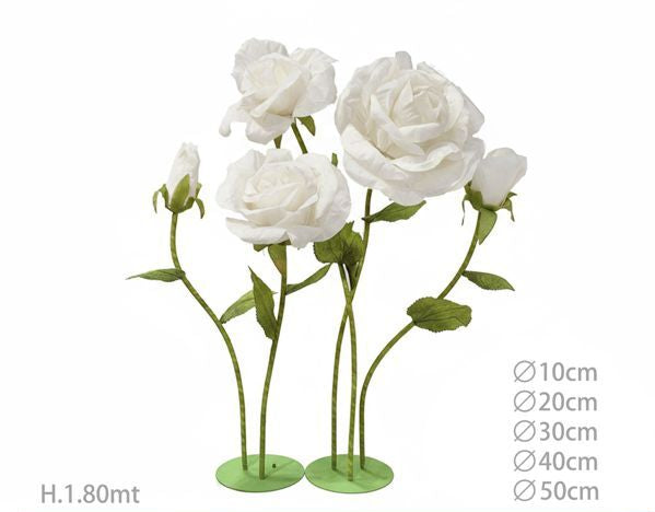 Set rose bianche giganti 180cm