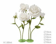 Set rose bianche giganti 180cm