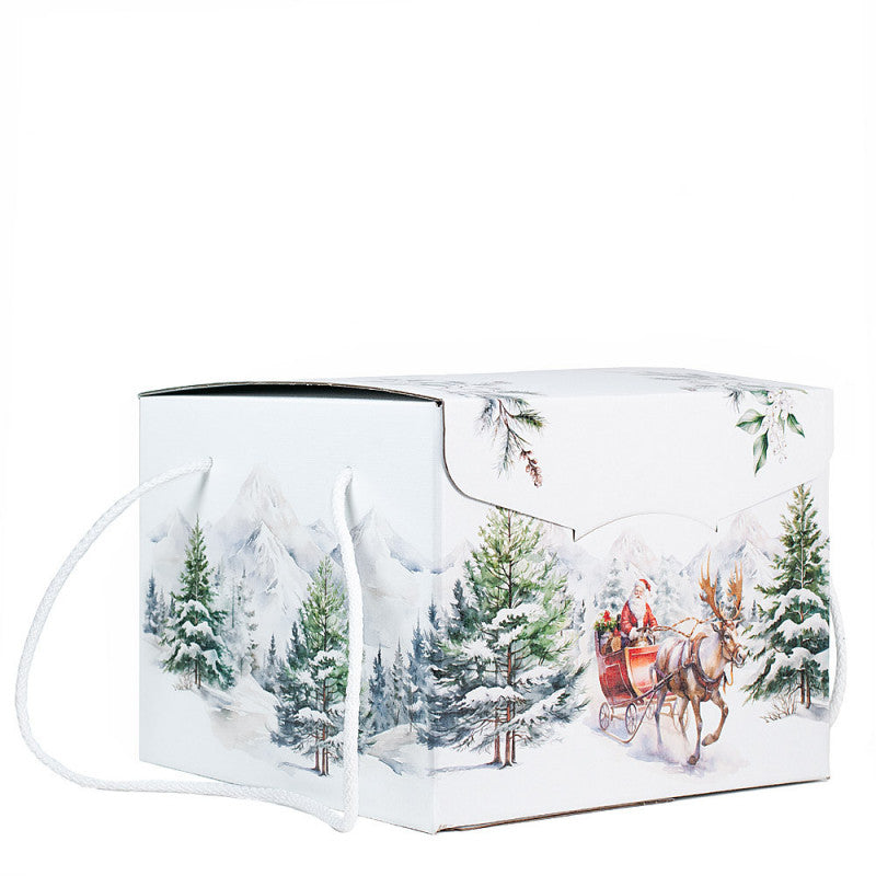 Scatola Segreto con cordini paesaggio 24,5x24,5x18 cm – Scotton, 1 pz