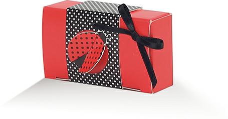 Rectangular PC ladybug box with external band 4x7x2cm